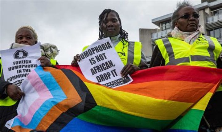 Are Drue and Gabe Basham Racist? Homophobic Claims On Reddit