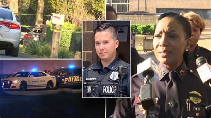 
Chicago police officer shot and killed while responding to domestic call: officials 