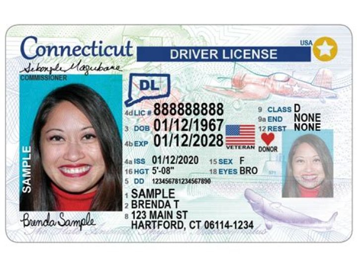Dan Firkus Trixie Mattel Brother Has A Funny Driver’s License Photo