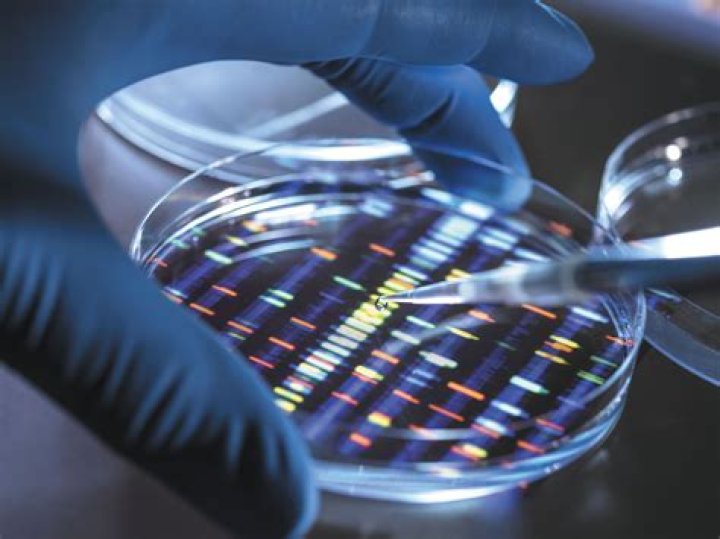 
“He talked about his ancestors”: Report suggests Bryan Kohberger sent DNA for genetic testing 