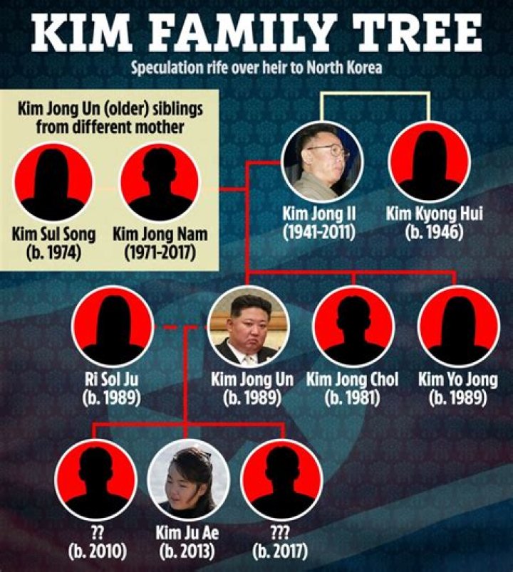 Is Andre Dae Kim Related To Daniel Dae Kim? Family Tree Link Explained!