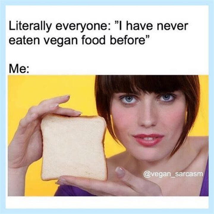 Is Ryancomedy Related To That Vegan Teacher? Family Tree And Net Worth Difference