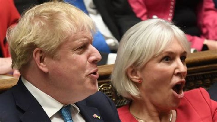 Nadine Dorries Height, Weight, Net Worth, Age, Birthday, Wikipedia, Who, Nationality, Biography