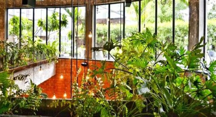 
Prep your balcony garden to enjoy home grown desi vegetables 