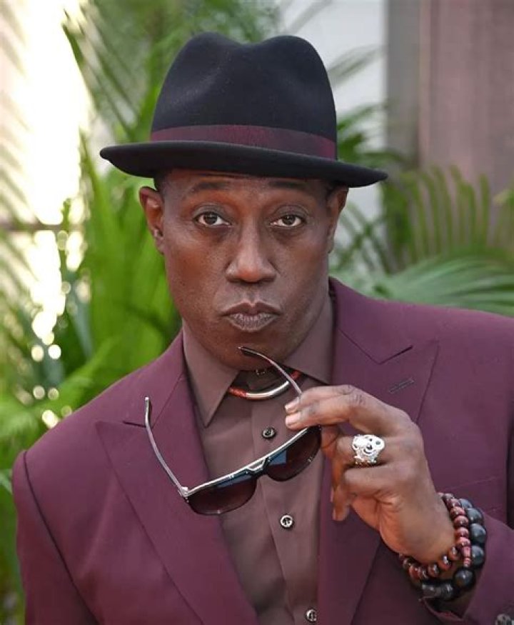 
Wesley Snipes Net Worth 2022: Why He Went To Prison After Blade Trilogy? 