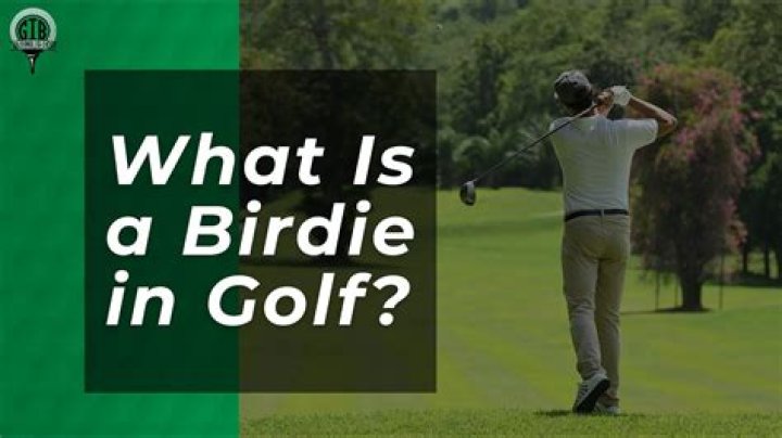 What Does Birdies Or Better Matchup Mean In Golf?